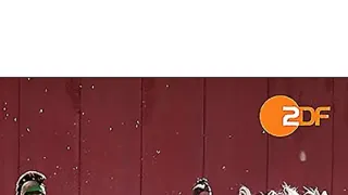 Rímske dostihy (2/2)