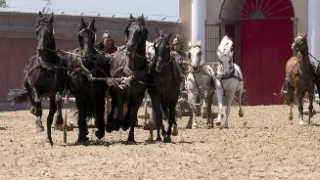 Rímske dostihy (2/2)