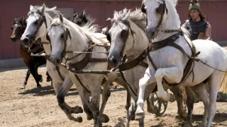 Rímske dostihy (2/2)