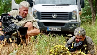 Slony zblízka (1/2)