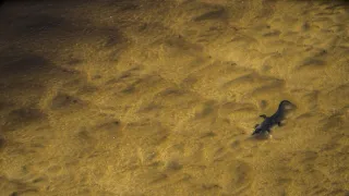 Okavango - rieka snov (2/4)