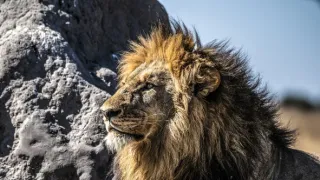 Okavango - rieka snov (2/4)