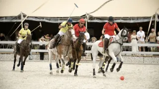 Pólo: Čest a výhra