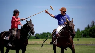 Pólo: Čest a výhra