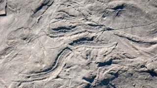 Tajemství skrytá v písku (5/6)