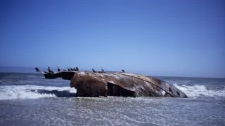 Tajemství skrytá v písku (5/6)