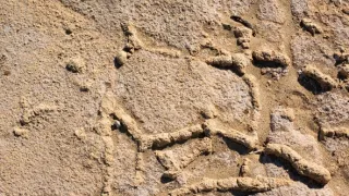 Tajemství skrytá v písku (5/6)