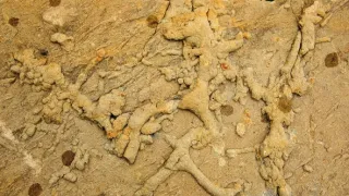 Tajemství skrytá v písku (5/6)