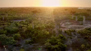 Zázračná planeta: Tropické ostrovy (2/3)