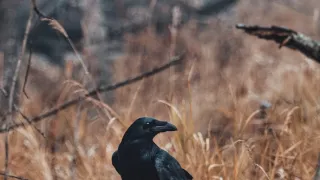 Tajemství Velkých jezer (2/3)