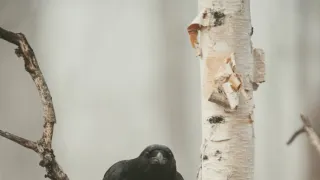 Tajemství Velkých jezer (2/3)
