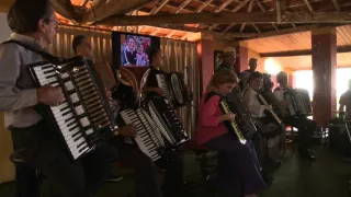 Akordeon v harmonii časů