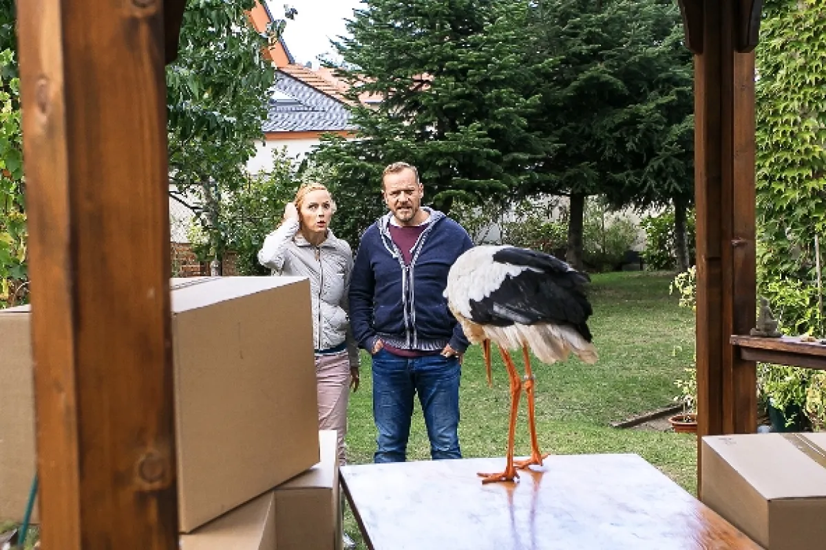 Krejzovi, 2018 - fotogaléria