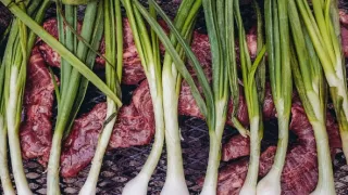 Anthony Bourdain: Neznámé končiny XII (2)