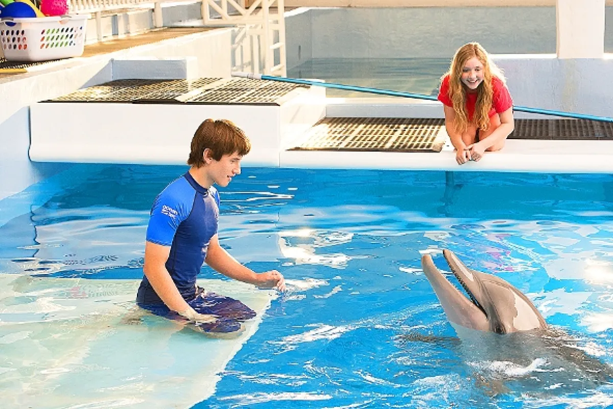 Najsilnejšie puto 2 (Dolphin Tale 2), 2014 - fotogaléria