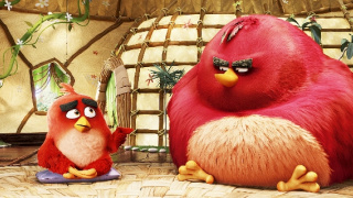 Angry Birds vo filme