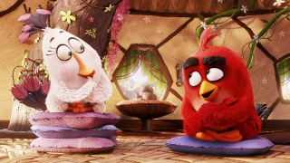 Angry Birds vo filme