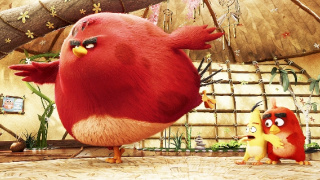 Angry Birds vo filme