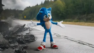 Ježek Sonic