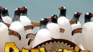 Darwinův úžasný svět zvířat II