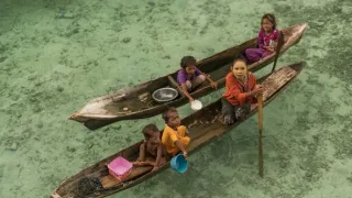 Těžký osud starých kmenů