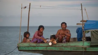 Těžký osud starých kmenů