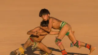 Těžký osud starých kmenů