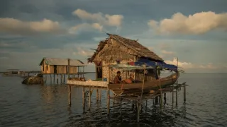 Těžký osud starých kmenů