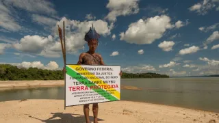 Těžký osud starých kmenů