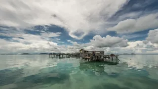 Těžký osud starých kmenů