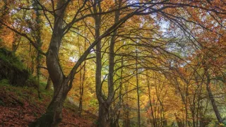 Príroda Kantaberských hôr (2/2)