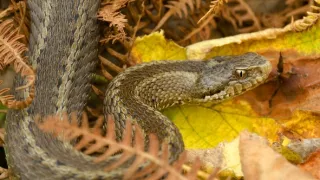 Príroda Kantaberských hôr (2/2)