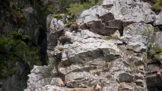 Príroda Kantaberských hôr (2/2)