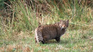 Príroda Kantaberských hôr (2/2)