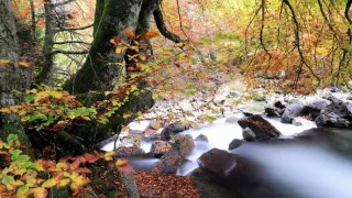 Príroda Kantaberských hôr (2/2)