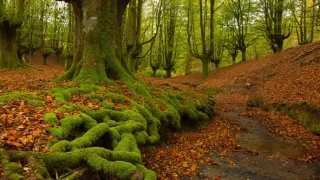 Príroda Kantaberských hôr (2/2)