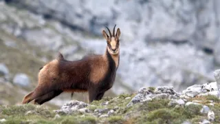 Príroda Kantaberských hôr (2/2)