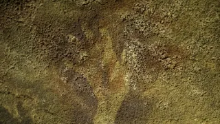 Dobrodružstvo do neznáma - špeciály (3/4)