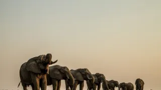 Okavango - řeka snů (3/4)