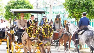 Na cestě po Andalusii