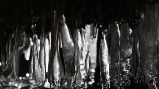 Nepál, sídlo bohů