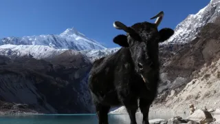 Nepál, sídlo bohů