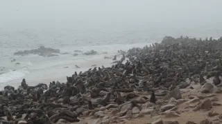 Na cestě po západní Namibii