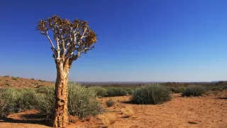 Na cestě po západní Namibii