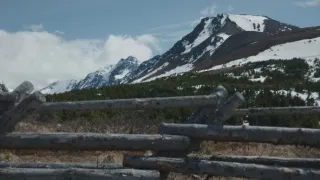 Vražedný národ II (6)