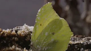 Divoká príroda Bavorska (1/2)