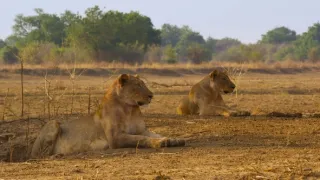 Zázračná planéta: Posledné raje na Zemi - Luangwa