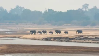 Zázračná planéta: Posledné raje na Zemi - Luangwa