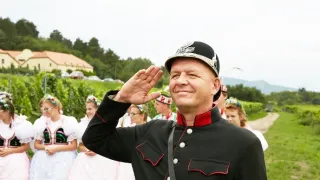 Vinaři (9)