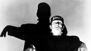 Podivný život dr. Frankensteina